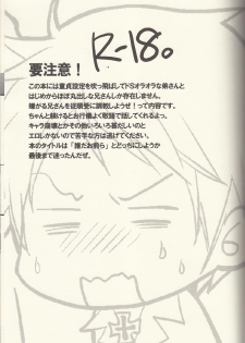 (FIZZCODE) Kore wa hidoi (Axis powers hetalia) - page 2