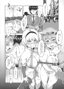 (Reitaisai 10) [Alice no Takarabako (Mizuryu Kei)] Touhou Gensou Houkai Ryou (Touhou Project) - page 23