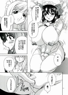 (C70) [Narimasuya (Akiba Wataru)] DOLLS DIARY 6 - page 11