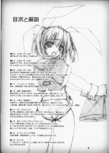 (CR30) [Lili Marleen (Kinohara Hikaru)] 04 (Pia Carrot e Youkoso!! 3) - page 3