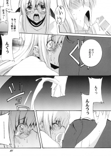 [F.A (Honoutsukai)] Lied der Nacht12 ~Yoru no Uta~ - page 24