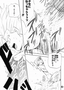 [Chirigami Goya & Fusuma go Ten (Shouji Haruzo)] Taresotsu (Dragon Ball) - page 21