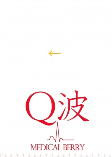 (C83) [Techno Fuyuno (Fuyuno Haruaki) & Medical Berry (ha-ru)] Q Ha (Neon Genesis Evangelion) - page 19