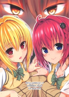 (COMIC1☆7) [HAMMER_HEAD (Makabe Gorou)] Geboku Keikaku Hatsudou! no Hazu ga...? (To LOVE-Ru Darkness) - page 28