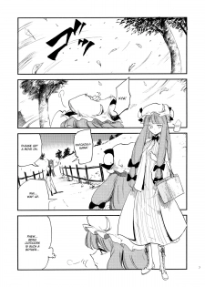 (Reitaisai 10) [Shironegiya (miya9)] Cloudy Sky Library (Touhou Project) [English] - page 8