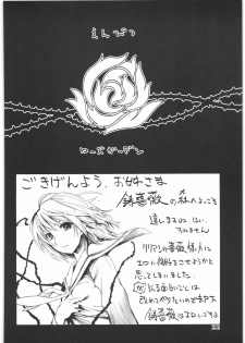 (C70) [Barbarossa (Shinonome Tarou)] Flowers (Street Fighter) - page 21