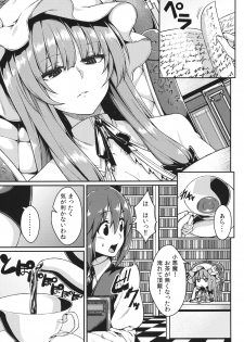 (Reitaisai 10) [Hirojuu Renshuuchou (Hiroya)] Pache Otoshi (Touhou Project) - page 2