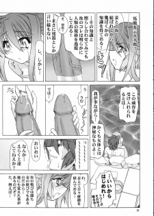 (CR34) [Akai Suzume (Suzaku)] Koisurumadousyo (Demonbane) - page 10