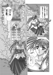 [WHITE ELEPHANT (Fujimaru Suiren)] ROSES GARDEN (Dragon Quest VIII) [Digital] - page 5