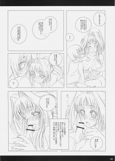 (C71) [Makuu Gundan (Shinozuka Atsuto)] Makuu Tsuushin A's (Mahou Shoujo Lyrical Nanoha) - page 27
