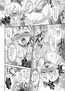 (Tosan Matsuri 2013) [H na Hon. Ya san. (akki)] WanWan No H Na Hon. (Hentai Ouji to Warawanai Neko) - page 13