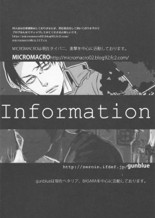 [MICROMACRO and gunblue] sit difficile; experior tamen. (Shingeki no Kyojin) - page 38