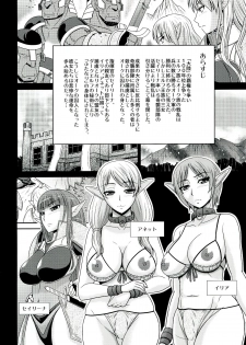 (C84) [completebox (Ayakawa Hisashi / Hatakeyama Mom)] Futanari Quest Irina & Aret hen - page 4