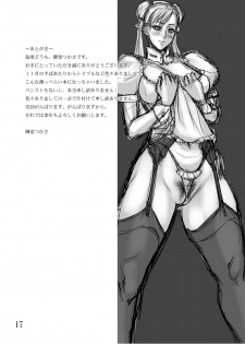 [G-Panda (Midoh Tsukasa)] Maid Kurorei. (Street Fighter) [Digital] - page 17