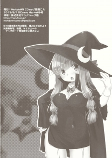 (C84) [MeltdoWN COmet (Yukiu Con)] moon marguerite (Touhou Project) - page 25