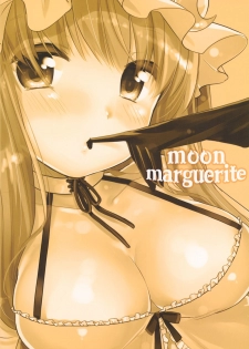 (C84) [MeltdoWN COmet (Yukiu Con)] moon marguerite (Touhou Project) - page 26