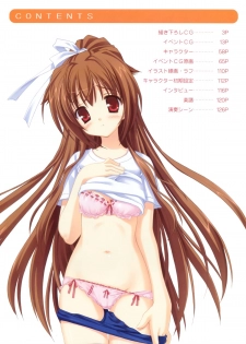 Bra-Ban Visual Fanbook - page 4