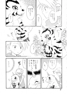 (CCTokyo96) [Haniwa Mania, Kuruguru DNA (Pon Takahanada, Hoshiai Hiro)] Bokura No Jogress World (Digimon Adventure 02) - page 27