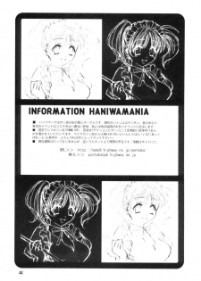 (CCTokyo96) [Haniwa Mania, Kuruguru DNA (Pon Takahanada, Hoshiai Hiro)] Bokura No Jogress World (Digimon Adventure 02) - page 44