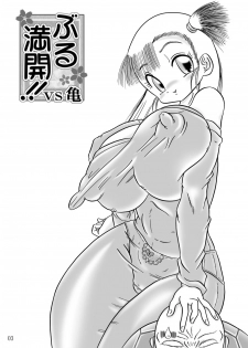 [Madoromi Youenjou] Bulmankai!! vs Kame Chokotto Shuuseiban (Dragon Ball) - page 2