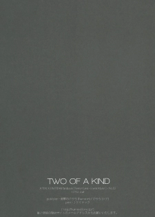 [Hummel] Two of a Kind (Shingeki no Kyojin) - page 28