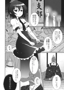 (C84) [Kuma-tan Flash! (Hanao.)] Mebius：last (Touhou Project) - page 9