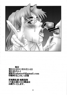 (C80) [PJ-1 (PJ-1)] Misato to Ritsuko Monzetsu Misoji Yuugi (Neon Genesis Evangelion) [English] - page 29