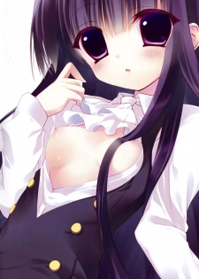 (COMIC1☆6) [INS-mode (Amanagi Seiji)] colorful x SS (Inu x Boku SS) [English] [Facedesk] - page 2