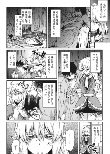 (Kouroumu 9) [Hirojuu Renshuuchou (Hiroya)] Kanojo no Hitomi wa Naniiro ka (Touhou Project) - page 3