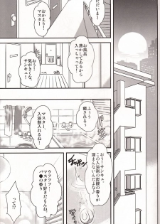 (C84) [Misuterutein (Oborogumo Takamitsu)] VH2 (Busou Shinki) - page 4