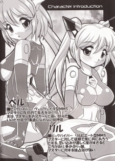 (C84) [Misuterutein (Oborogumo Takamitsu)] VH2 (Busou Shinki) - page 3