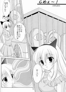 (COMIC1☆3) [Kurousagi & TRAP (Kayura Yuka, Urano Mami)] Ramee~ (Tower of Druaga) - page 5