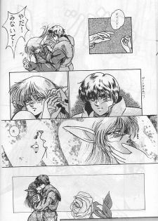 [Studio Boxer (Nago K, Shima Takashi, Taka)] HOHETO 4 (Record of Lodoss War) [incomplete] - page 6