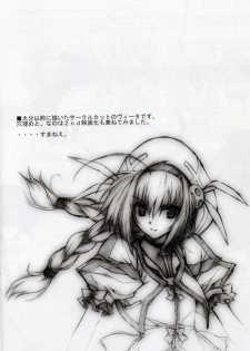 (C81) [BRIEST (Yatsushima Tetsuya)] LMR/14 (Mahou Senki Lyrical Nanoha Force) - page 11