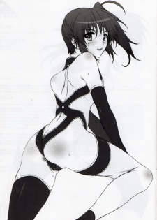 (C81) [BRIEST (Yatsushima Tetsuya)] LMR/14 (Mahou Senki Lyrical Nanoha Force) - page 4