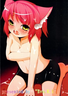 (Puniket 19) [Evo.R.B (Takayuki Hiyori)] flowers (7th Dragon) - page 2