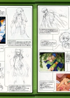 RanceVI  Collapse of Zeth Booklet Manual - page 45