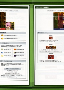 RanceVI  Collapse of Zeth Booklet Manual - page 29