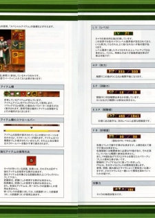 RanceVI  Collapse of Zeth Booklet Manual - page 28