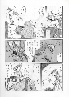 (C37) [Waku Waku Doubutsuen (Tennouji Kitsune)] Elf no Musume - Die Elfische Tochter (Record of Lodoss War) - page 22