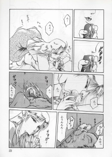 (C37) [Waku Waku Doubutsuen (Tennouji Kitsune)] Elf no Musume - Die Elfische Tochter (Record of Lodoss War) - page 23