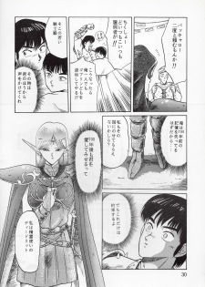 (C37) [Waku Waku Doubutsuen (Tennouji Kitsune)] Elf no Musume - Die Elfische Tochter (Record of Lodoss War) - page 30