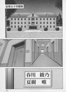 [Gun Ryuusei] Wakakusa Bishoujotai vol.1 - page 18