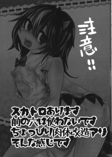 (C85) [Nejiya no Hito (Niwa Yukari)] Kiraware Acme Seija-chan (Touhou Project) - page 2