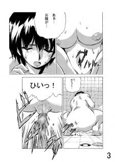 Hoteisou book - page 18