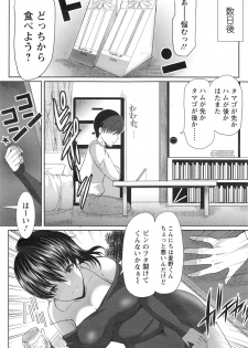 [Hatoya Mameshichi] Sandwich Wife Ch.01-02 - page 8
