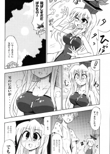 (Meigetsusai 2) [Public Planet (Coaster)] Shirasawa no Seseragi (Touhou Project) - page 13