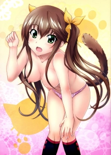 (C84) [Uninigumi (Saji, Unini☆Seven)] IP2 (Infinite Stratos) - page 12