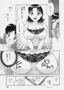 [Tachibana Kaoru] Himitsu no Yuukan Madam 1 - page 31