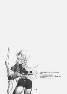 (SC32) [Fujiya Honten (Thomas)] CHRONICLE (Ragnarok Online) - page 3